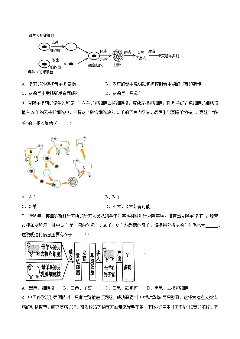 初中生物中考复习 专题09 生物技术（综合提分练）-【过专题】2022年中考生物二轮精准高效复习（原卷版）第2页