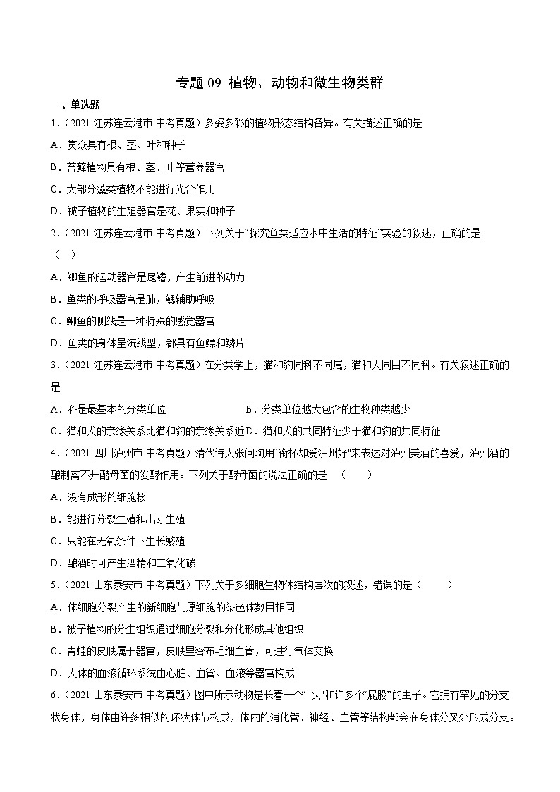 初中生物中考复习 专题09 植物、动物和微生物类群-2021年中考生物真题分项汇编（全国通用）（第1期）（原卷版）01