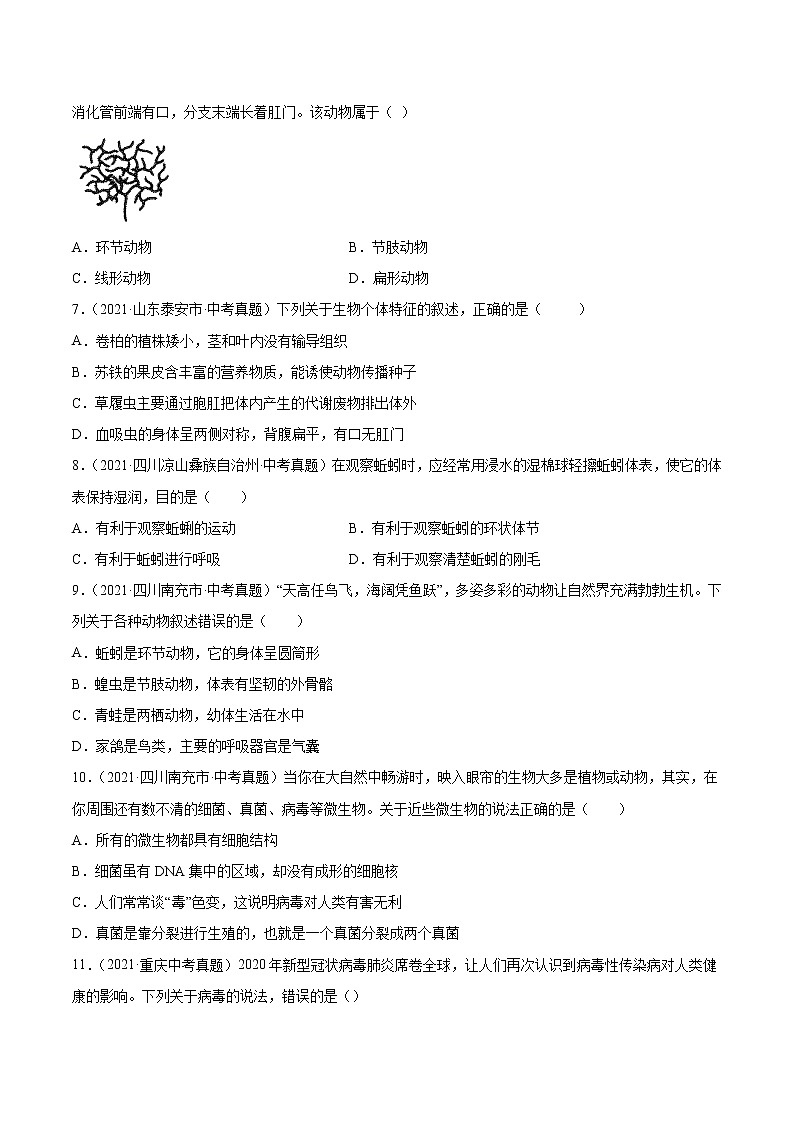 初中生物中考复习 专题09 植物、动物和微生物类群-2021年中考生物真题分项汇编（全国通用）（第1期）（原卷版）02