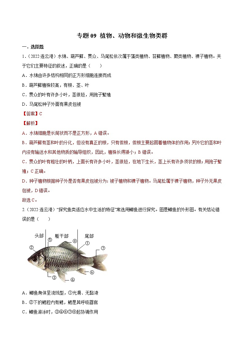 初中生物中考复习 专题09 植物、动物和微生物类群-2022年中考生物真题分项汇编 （全国通用）（解析版）第1页