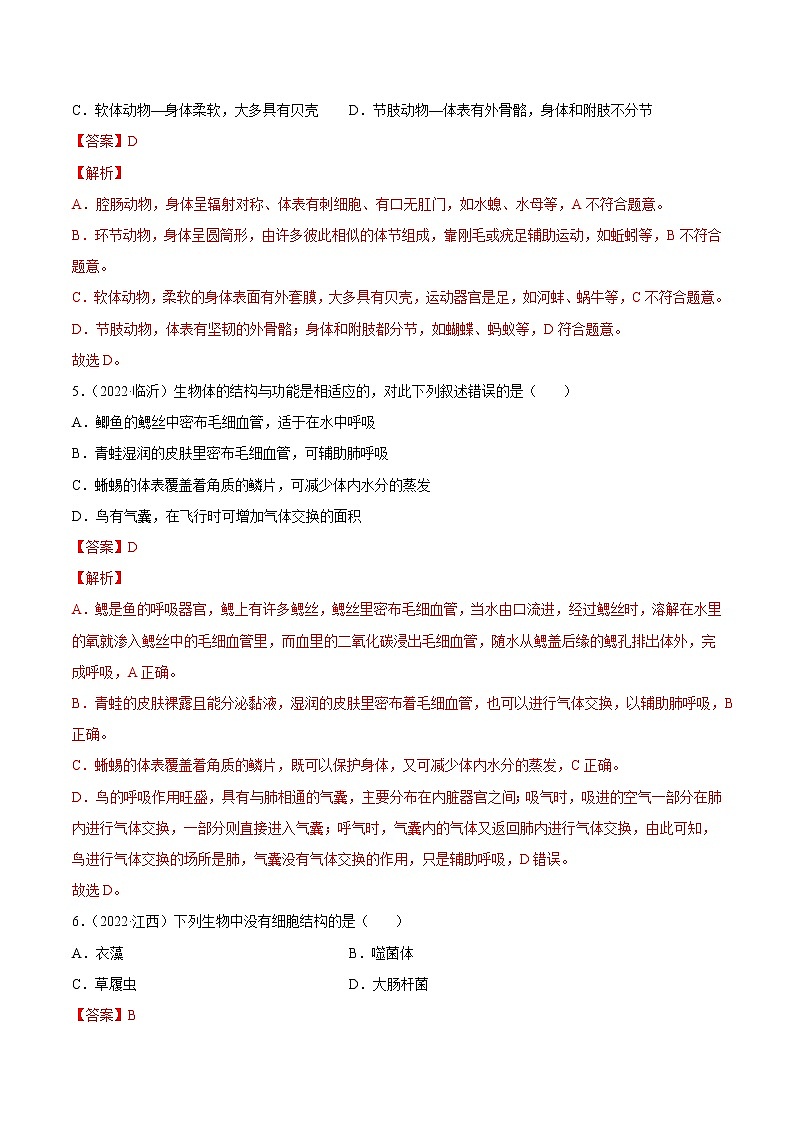 初中生物中考复习 专题09 植物、动物和微生物类群-2022年中考生物真题分项汇编 （全国通用）（解析版）第3页