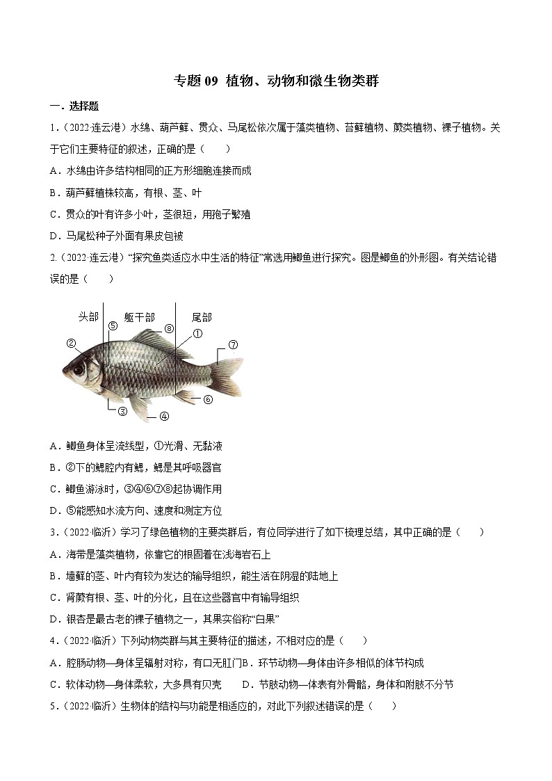 初中生物中考复习 专题09 植物、动物和微生物类群-2022年中考生物真题分项汇编 （全国通用）（原卷版）第1页