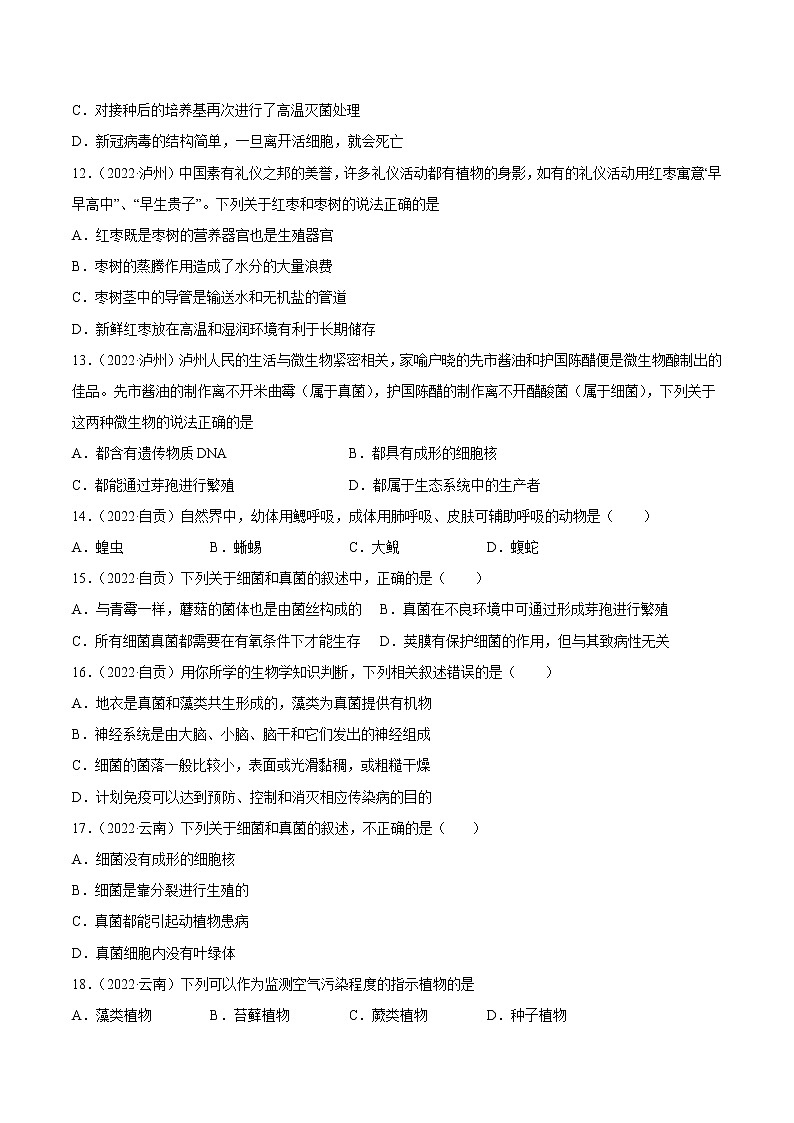 初中生物中考复习 专题09 植物、动物和微生物类群-2022年中考生物真题分项汇编 （全国通用）（原卷版）第3页