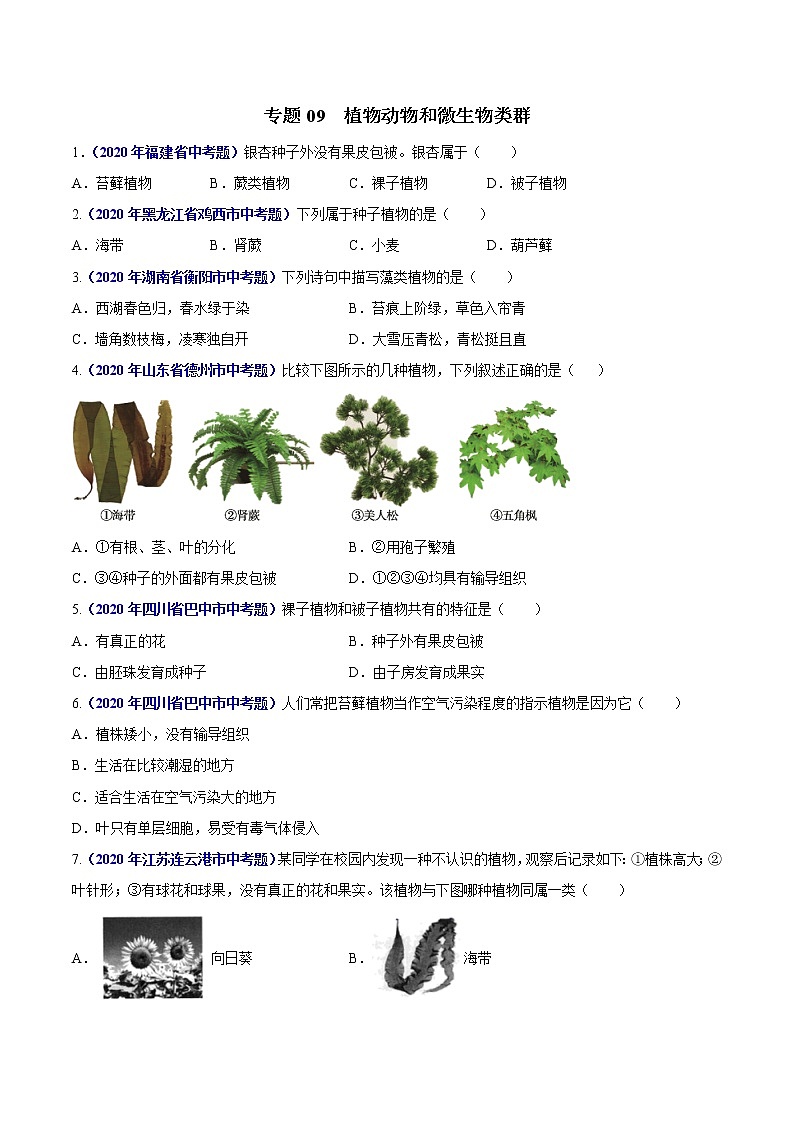 初中生物中考复习 专题09 植物动物和微生物类群-2020年中考生物真题分项汇编（全国通用）（原卷版）01
