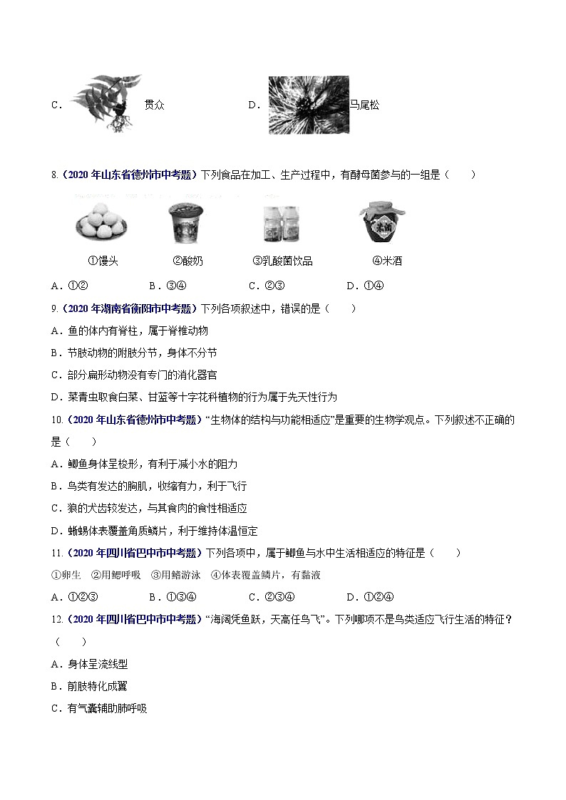 初中生物中考复习 专题09 植物动物和微生物类群-2020年中考生物真题分项汇编（全国通用）（原卷版）02