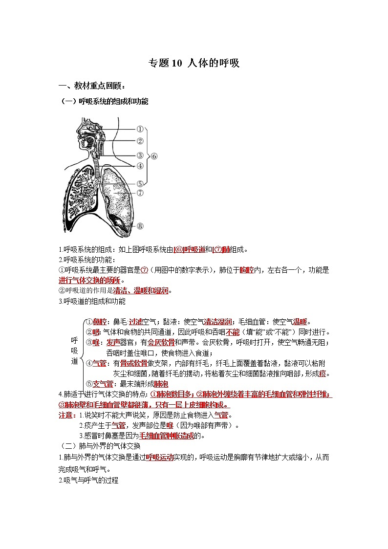 初中生物中考复习 专题10 人体的呼吸（解析版）01