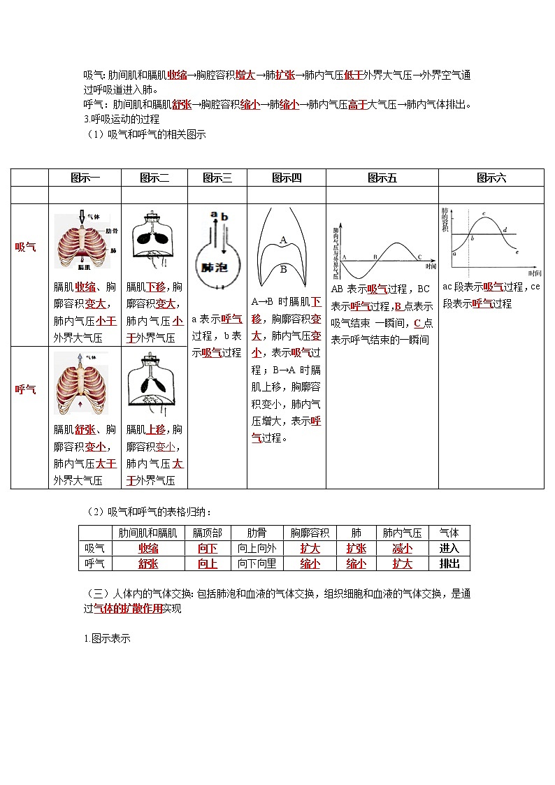初中生物中考复习 专题10 人体的呼吸（解析版）02