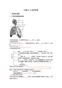 初中生物中考复习 专题10 人体的呼吸（原卷版）