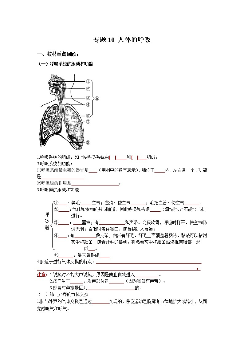 初中生物中考复习 专题10 人体的呼吸（原卷版）01