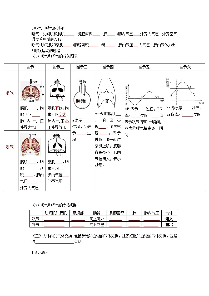 初中生物中考复习 专题10 人体的呼吸（原卷版）02