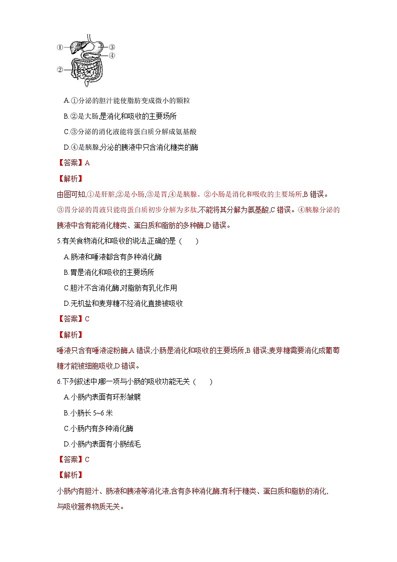 初中生物中考复习 专题10 人体的营养（练习）（解析版）02