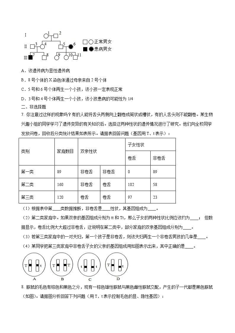 初中生物中考复习 专题10 生物的遗传和变异-2020年中考生物挑战压轴题（原卷版）第2页