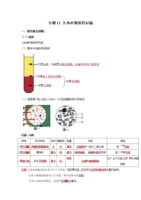 初中生物中考复习 专题11 人体内物质的运输（解析版）