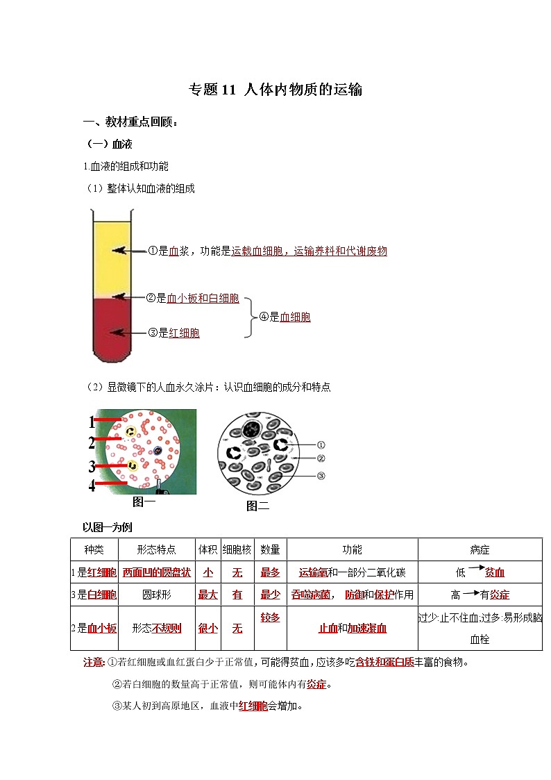 初中生物中考复习 专题11 人体内物质的运输（解析版）第1页