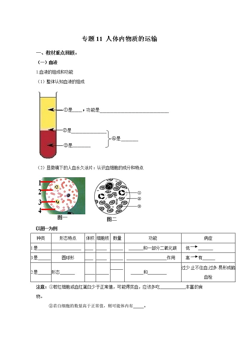 初中生物中考复习 专题11 人体内物质的运输（原卷版）01