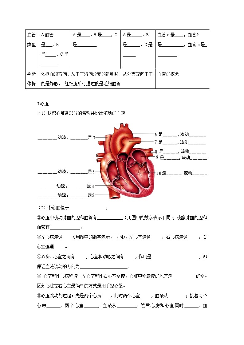 初中生物中考复习 专题11 人体内物质的运输（原卷版）03