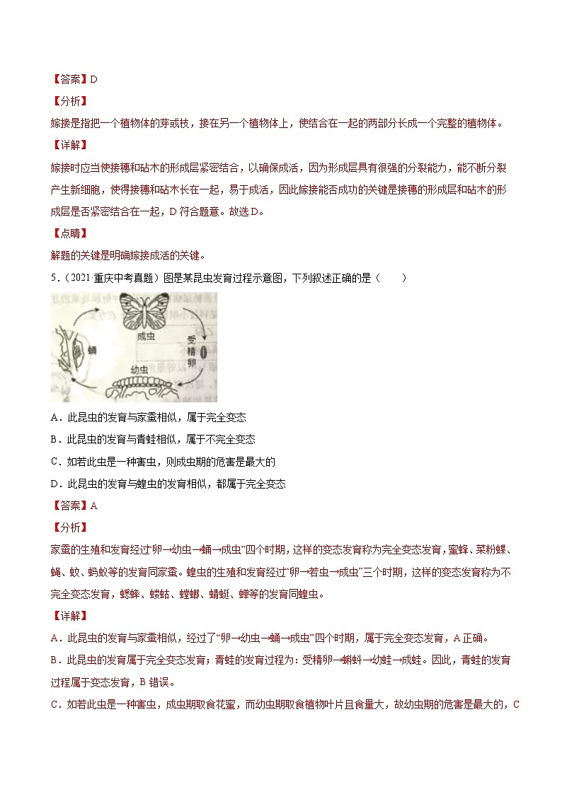 初中生物中考复习 专题11 生物的生殖和发育-2021年中考生物真题分项汇编（全国通用）（第1期）（解析版）03
