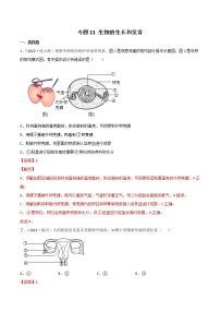 初中生物中考复习 专题11 生物的生殖和发育-2022年中考生物真题分项汇编 （全国通用）（解析版）