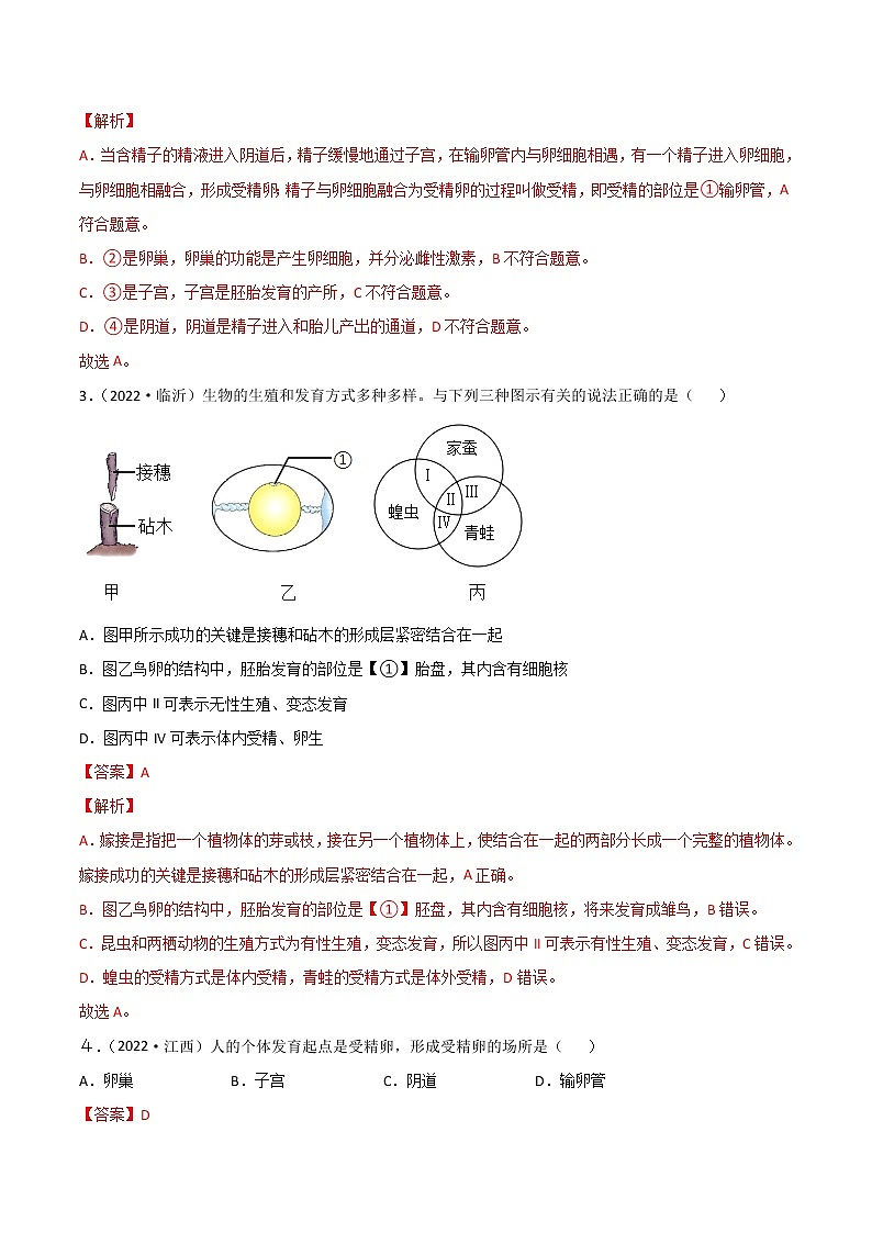 初中生物中考复习 专题11 生物的生殖和发育-2022年中考生物真题分项汇编 （全国通用）（解析版）02