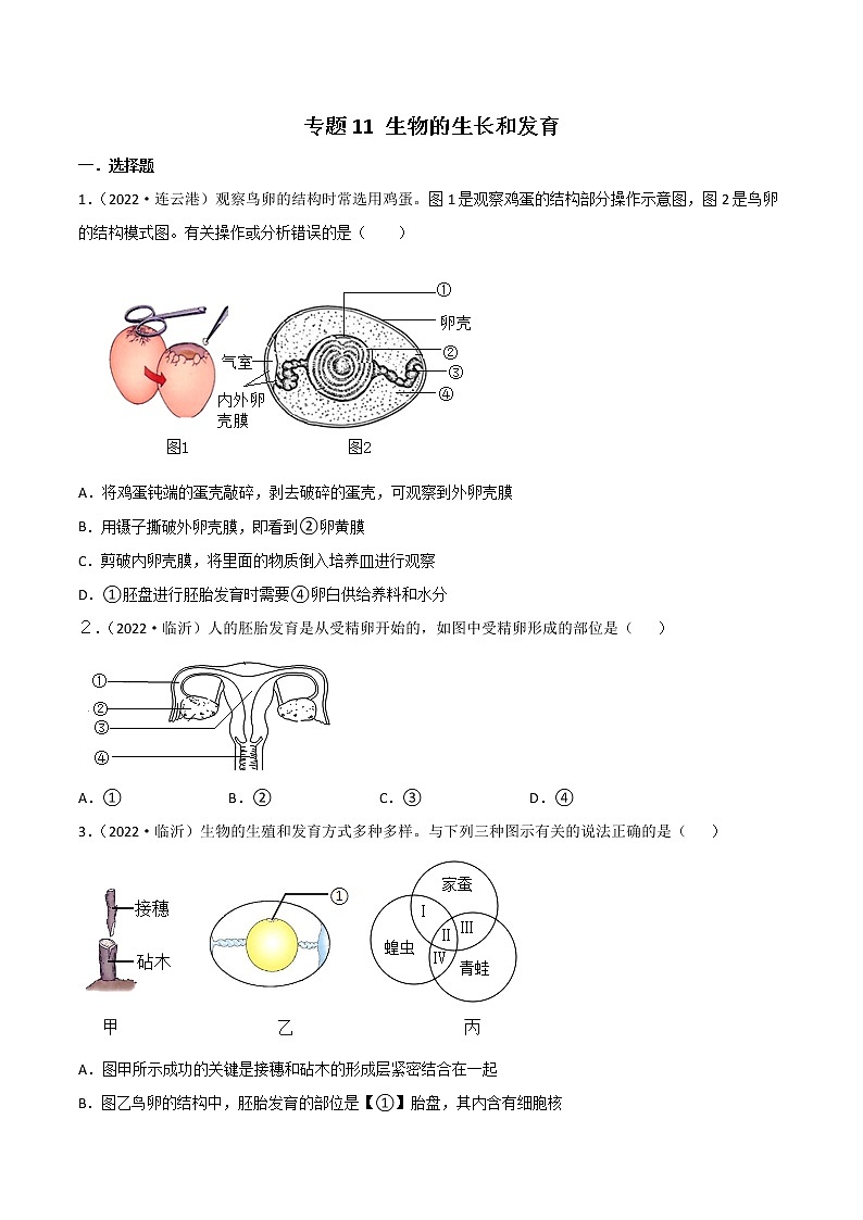 初中生物中考复习 专题11 生物的生殖和发育-2022年中考生物真题分项汇编 （全国通用）（原卷版）01