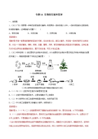 初中生物中考复习 专题11 生物的生殖和发育-三年（2020-2022）中考生物真题分项汇编（全国通用）（解析版）