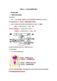 初中生物中考复习 专题12 人体内废物的排出（解析版）