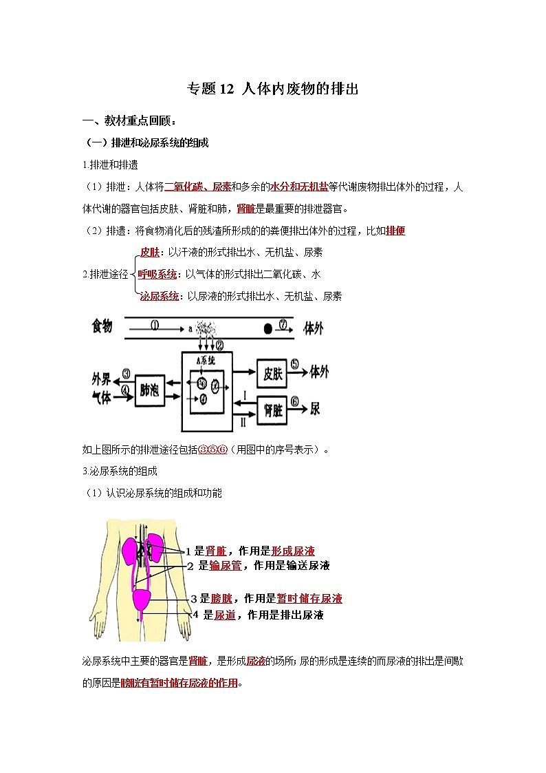 初中生物中考复习 专题12 人体内废物的排出（解析版）第1页