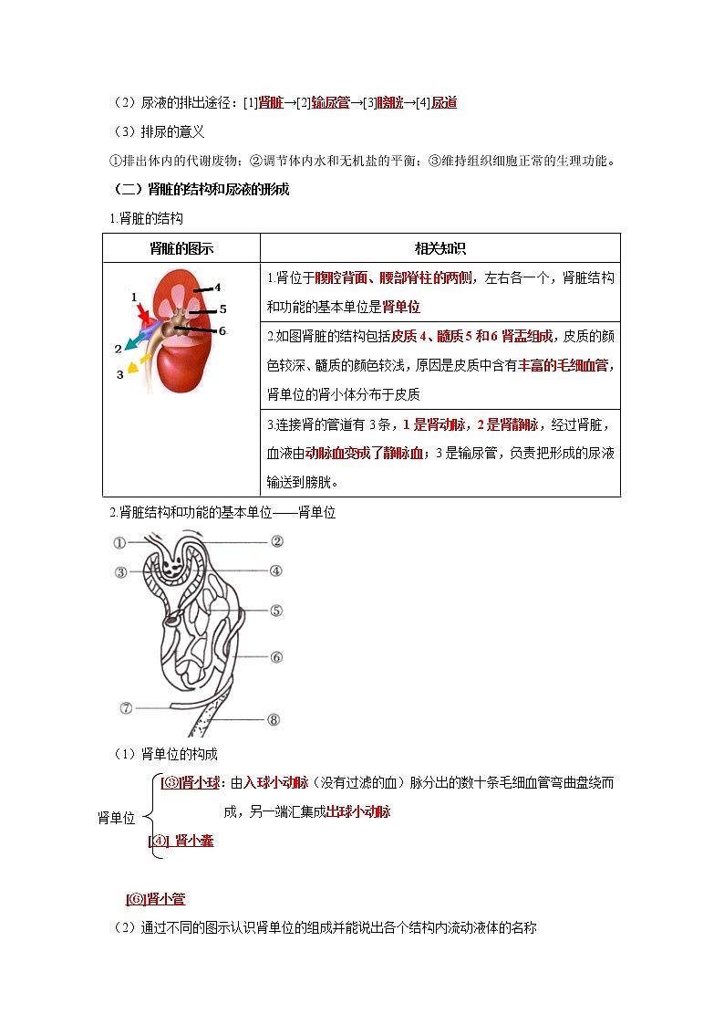 初中生物中考复习 专题12 人体内废物的排出（解析版）第2页