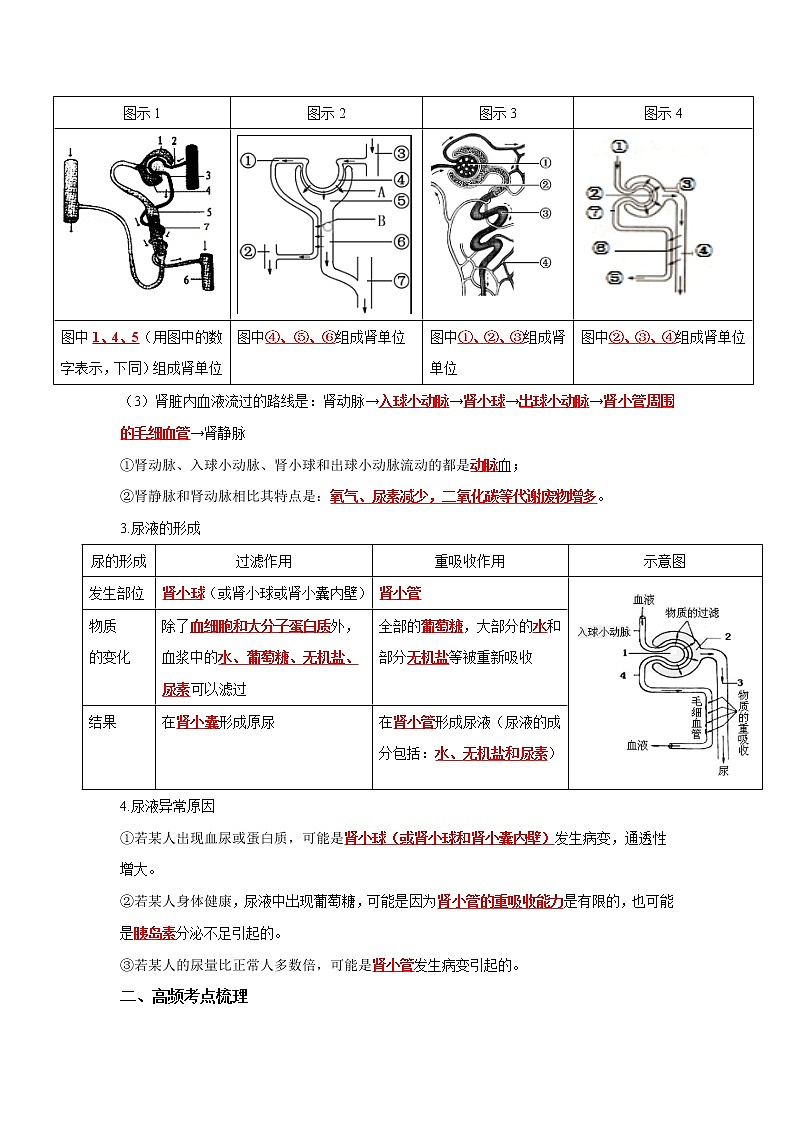 初中生物中考复习 专题12 人体内废物的排出（解析版）第3页
