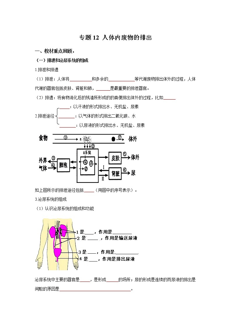 初中生物中考复习 专题12 人体内废物的排出（原卷版）第1页