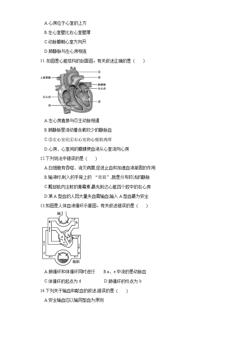 初中生物中考复习 专题12 人体内物质的运输（练习）（原卷版）03