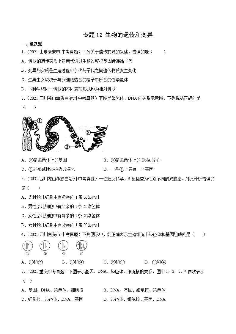 初中生物中考复习 专题12 生物的遗传和变异-2021年中考生物真题分项汇编（全国通用）（第1期）（原卷版）第1页