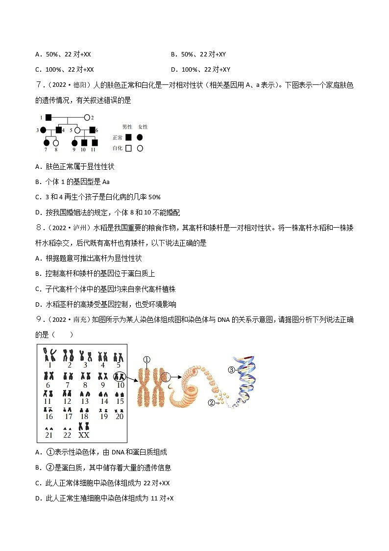 初中生物中考复习 专题12 生物的遗传和变异-2022年中考生物真题分项汇编 （全国通用）（原卷版）第2页