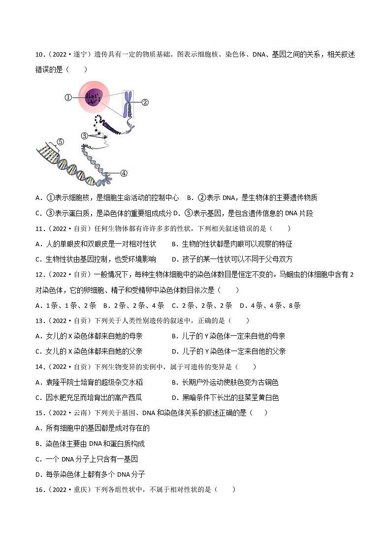 初中生物中考复习 专题12 生物的遗传和变异-2022年中考生物真题分项汇编 （全国通用）（原卷版）第3页