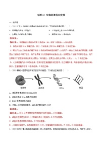 初中生物中考复习 专题12 生物的遗传和变异-三年（2020-2022）中考生物真题分项汇编（全国通用）（解析版）