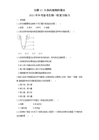 初中生物中考复习 专题13 人体内废物的排出（练习）（原卷版）