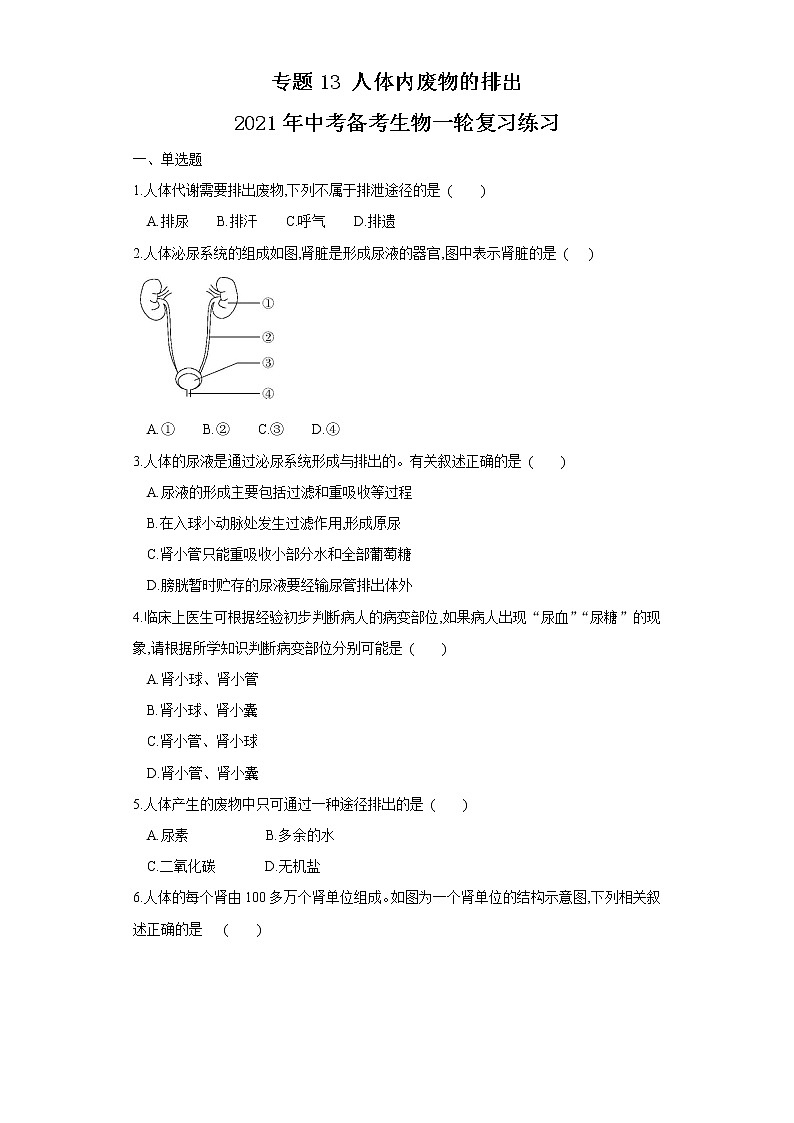 初中生物中考复习 专题13 人体内废物的排出（练习）（原卷版）01