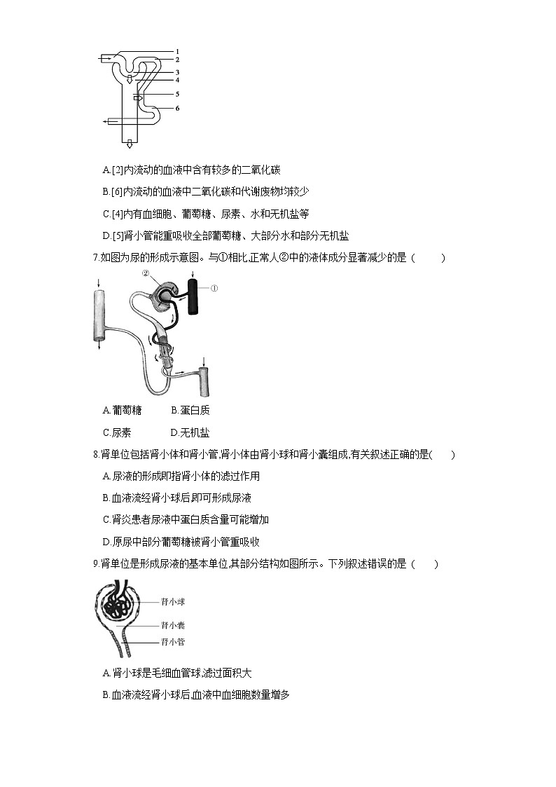 初中生物中考复习 专题13 人体内废物的排出（练习）（原卷版）02
