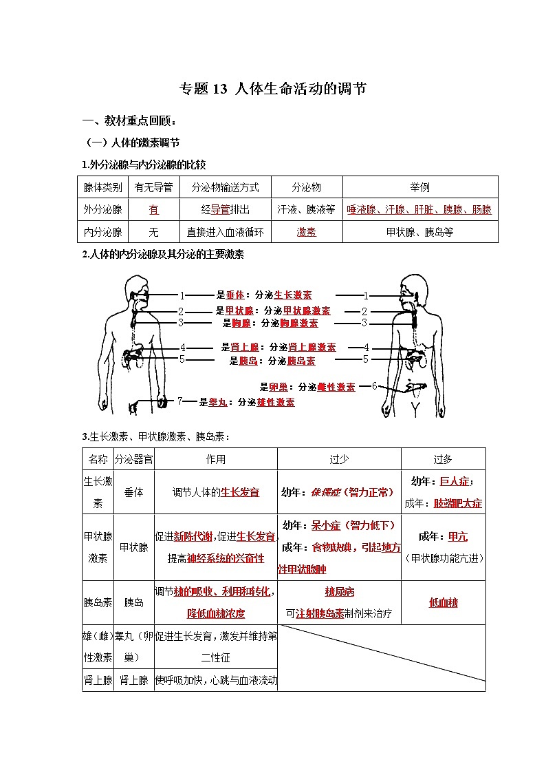 初中生物中考复习 专题13 人体生命活动的调节（解析版）01