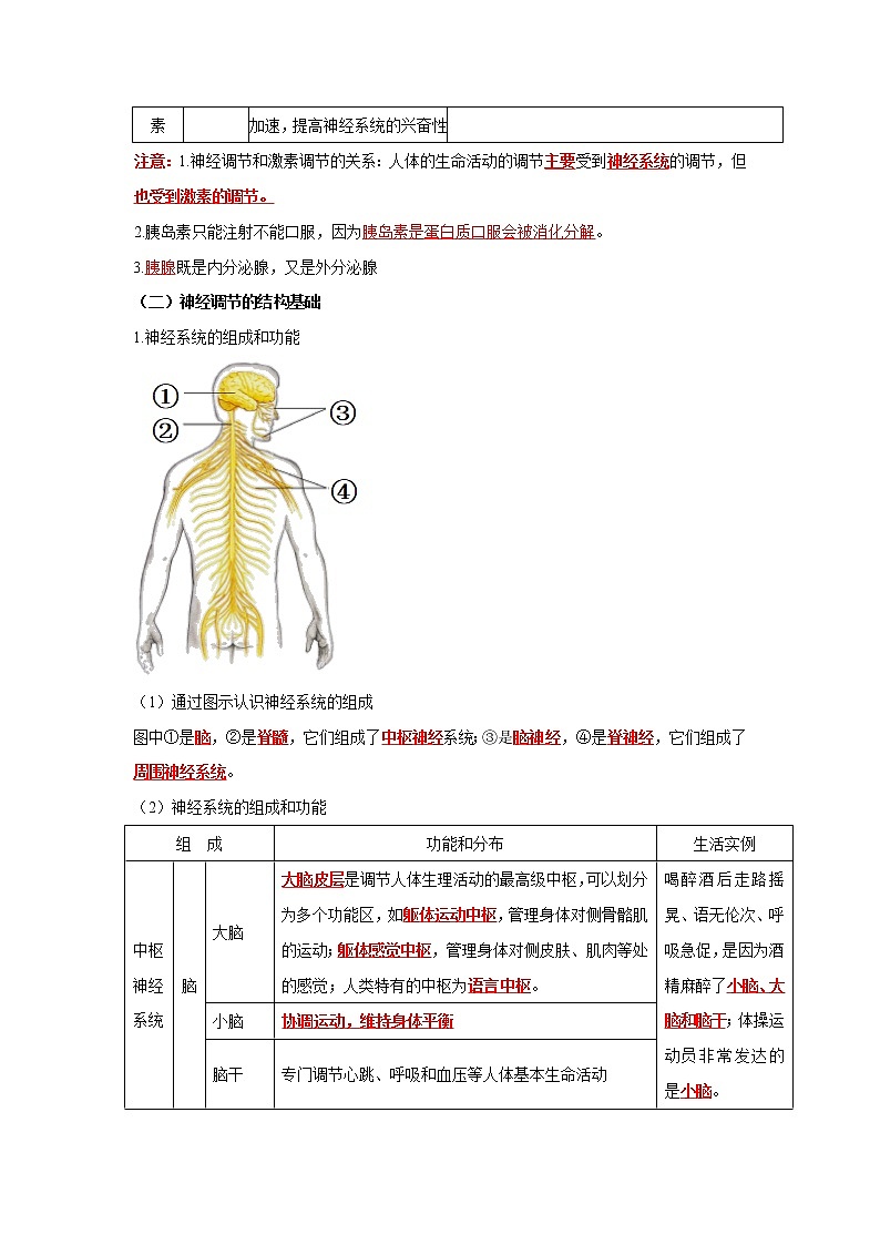 初中生物中考复习 专题13 人体生命活动的调节（解析版）02