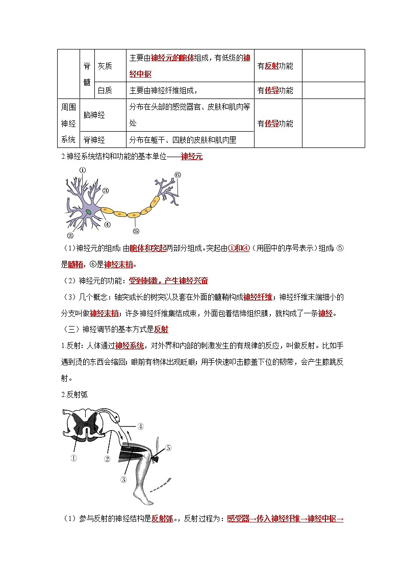 初中生物中考复习 专题13 人体生命活动的调节（解析版）03
