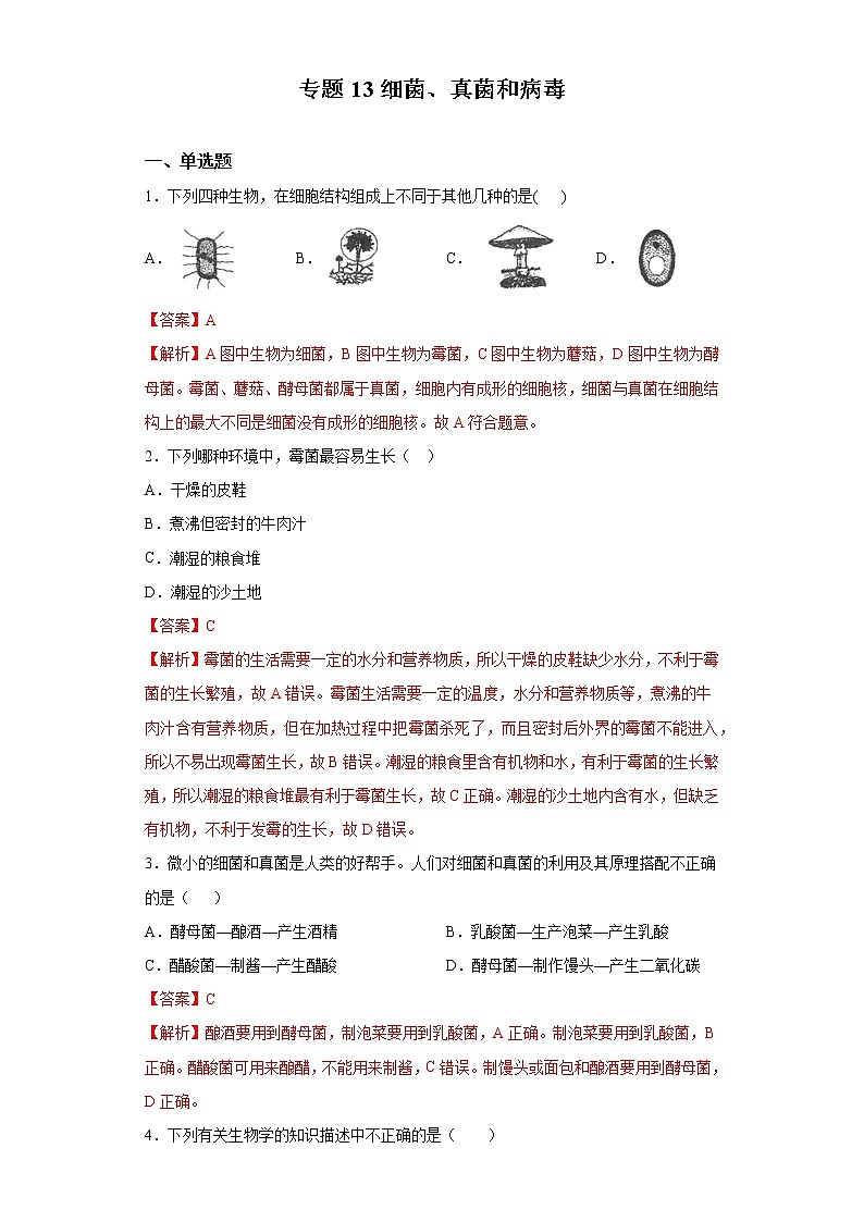 初中生物中考复习 专题13 细菌、真菌和病毒（解析版）01