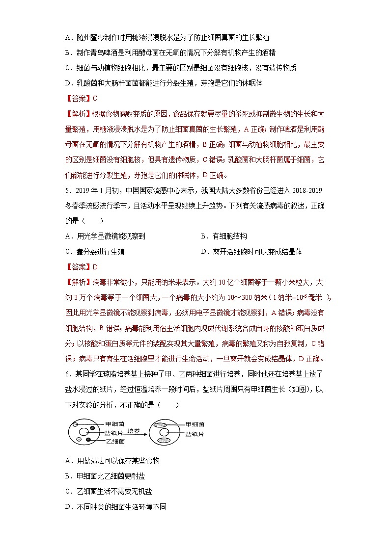 初中生物中考复习 专题13 细菌、真菌和病毒（解析版）02