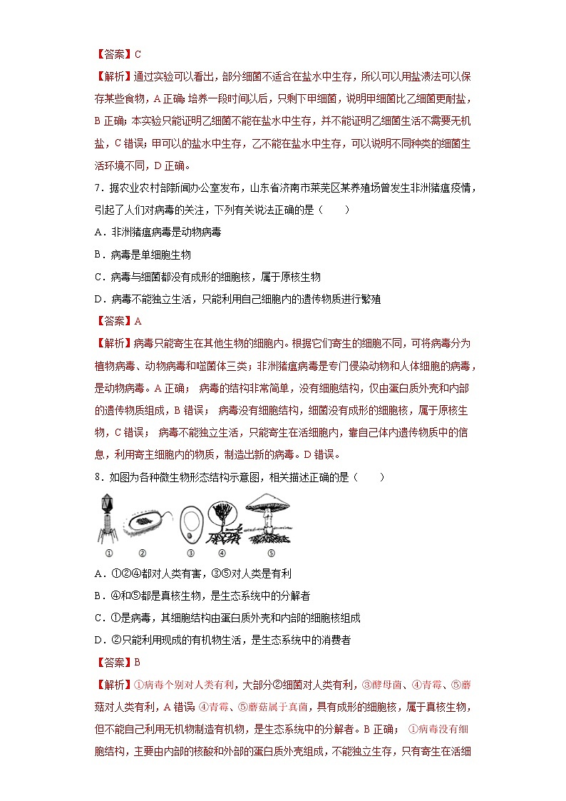 初中生物中考复习 专题13 细菌、真菌和病毒（解析版）03