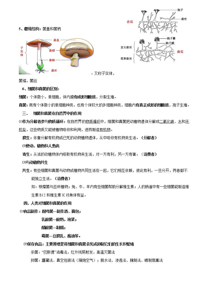 初中生物中考复习 专题13 细菌和真菌（解析版）03