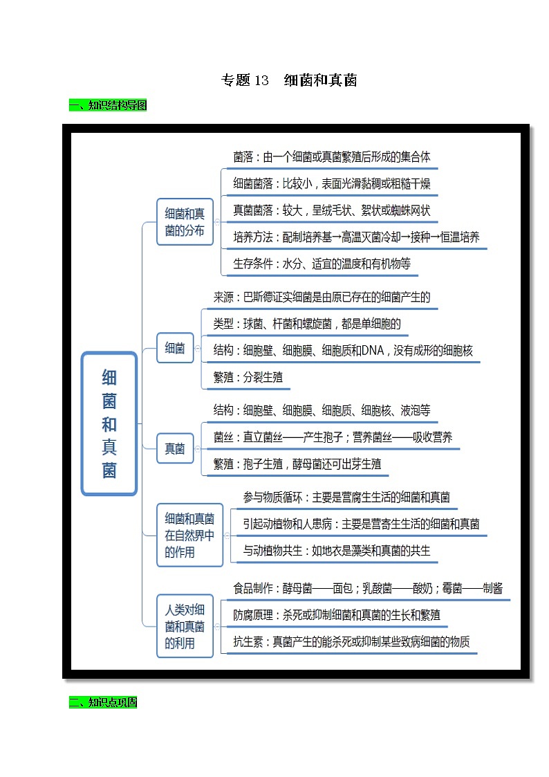 初中生物中考复习 专题13 细菌和真菌（原卷版）第1页