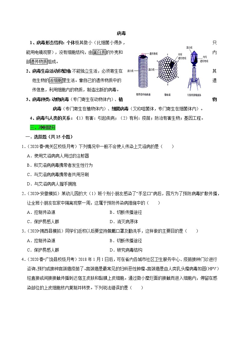初中生物中考复习 专题14 病毒（原卷版）02