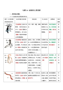 初中生物中考复习 专题14 动物的主要类群（解析版）