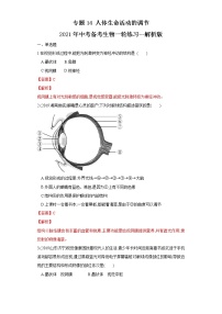 初中生物中考复习 专题14 人体生命活动的调节（练习）（解析版）