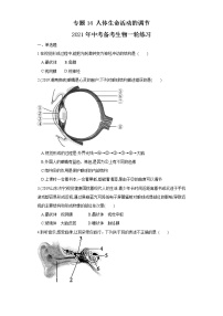 初中生物中考复习 专题14 人体生命活动的调节（练习）（原卷版）